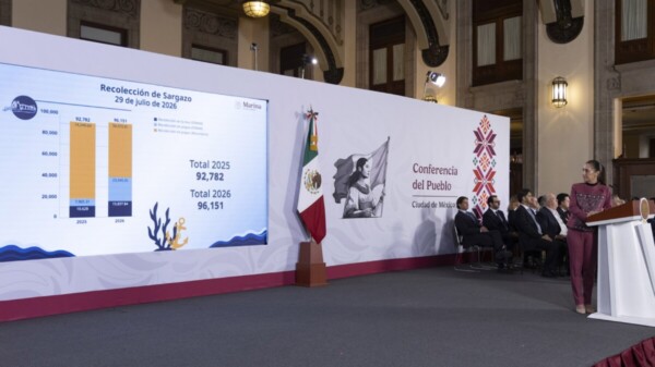 Destinan 2 mil mdp para combatir arribo de sargazo