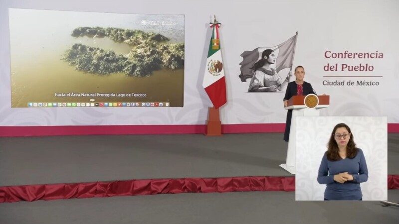 Lago de Texcoco revive como refugio de aves migratorias