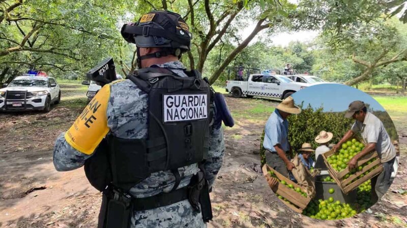 Refuerzan blindaje a ruta del limón en tierra caliente de Michoacán
