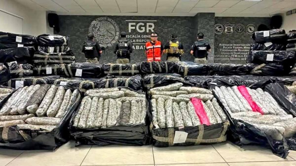 Interceptan cargamento de más de una tonelada de mariguana en Tabasco