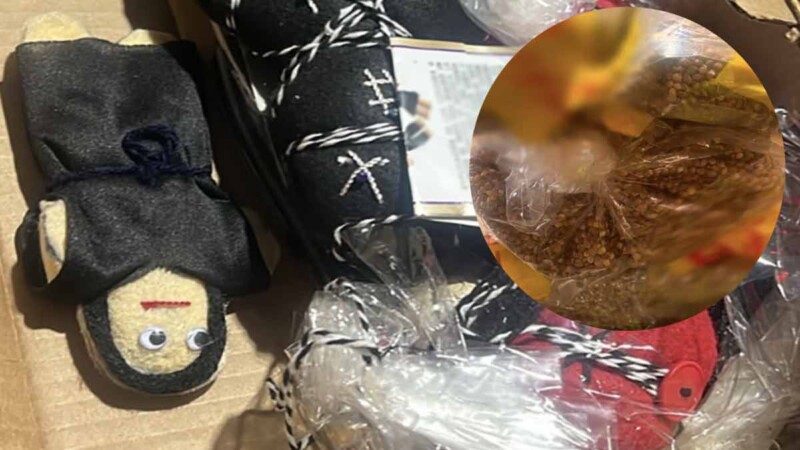 Detectan en Guadalajara cargamento de semillas de cannabis escondido en muñecas