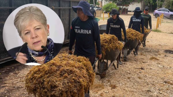 Gobierno federal califica como "gravísima" la crisis del sargazo en Quintana Roo