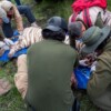 Muere Kenzo, el tigre de bengala que escapó en Tepetlaoxtoc; falleció durante operativo de rescate