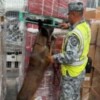 Aseguran 84 mil cigarrillos presuntamente apócrifos en el AIFA; provenían de Bélgica