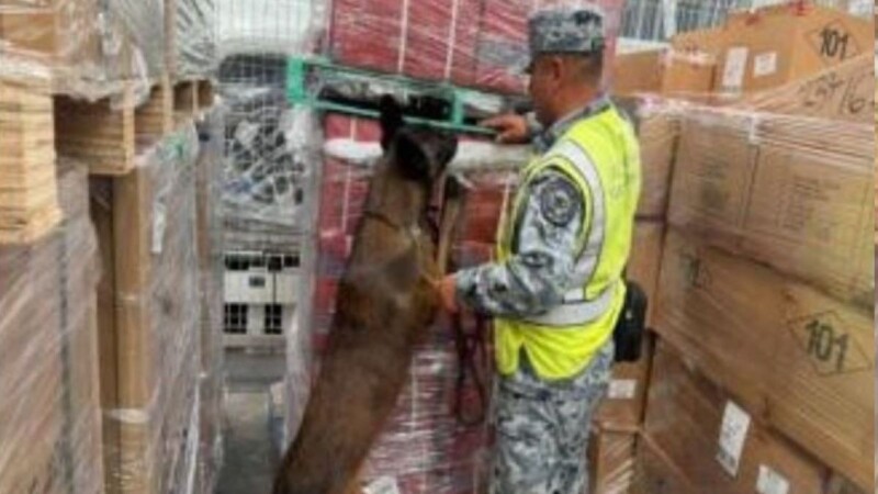 Aseguran 84 mil cigarrillos presuntamente apócrifos en el AIFA; provenían de Bélgica