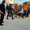 Operativo de seguridad en obras de Costa Mujeres deja una persona detenida
