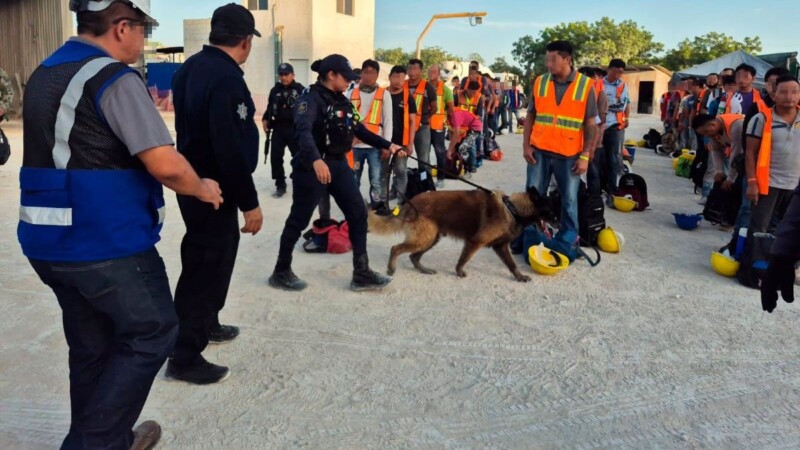 Operativo de seguridad en obras de Costa Mujeres deja una persona detenida