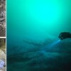 Hallan restos de una posible mujer antigua en cenote de Playa del Carmen; INAH inicia proyecto para proteger el sitio