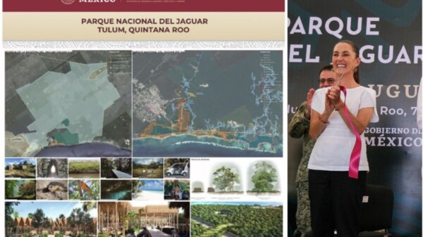 Visitará Sheinbaum Tulum para atender inconformidades