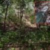 Revela El Yesal un importante centro maya en la Reserva de la Biosfera de Balamkú