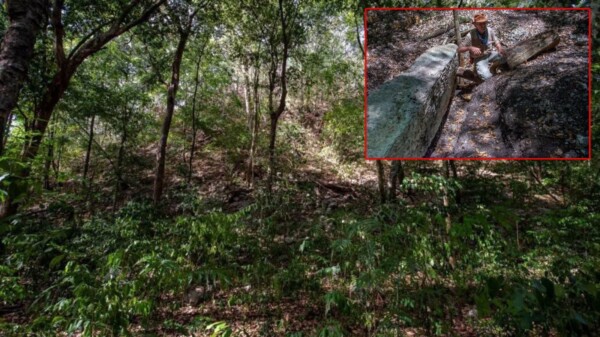 Revela El Yesal un importante centro maya en la Reserva de la Biosfera de Balamkú