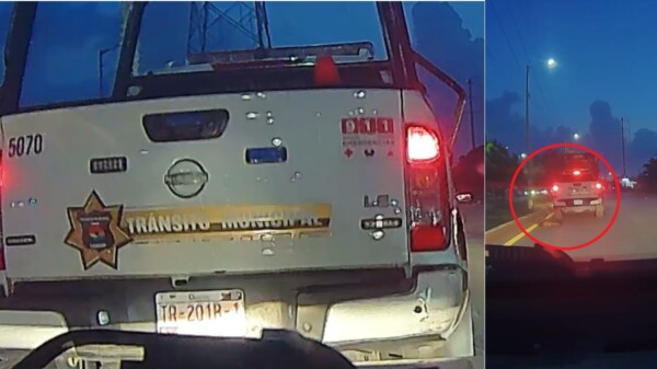 Captan en video a patrulleros de Tránsito atropellando a un perro en Cancún
