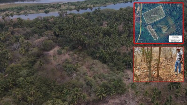 Registra el INAH dos sitios arqueológicos de la Costa Grande de Guerrero