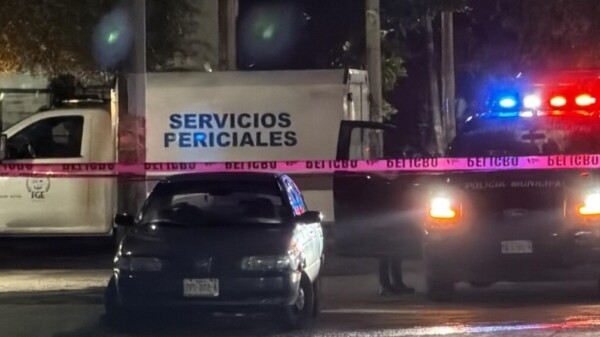 Hallan restos óseos y documentos personales durante cateo en la Región 95 de Cancún
