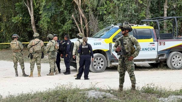 Aseguran un centenar de cubetas con presunta marihuana durante cateos en Cancún
