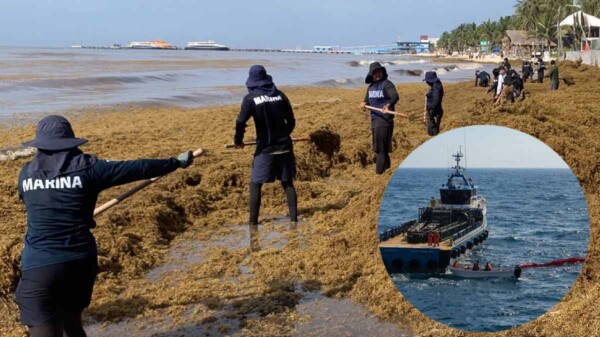 SEMAR refuerza la Operación Sargazo en Quintana Roo