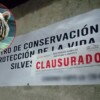Clausura la Profepa centro privado tras el escape del tigre Kenzo