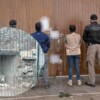 Resguardan dos tigres blancos en Durango tras cateo por presunto delito ambiental