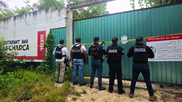Cateos en Bacalar y Cancún dejan dos detenidas y presuntas drogas aseguradas