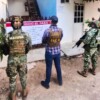 Cateos en Chiquilá y Solferino dejan armas, granadas y un invernadero con plantas de marihuana asegurados