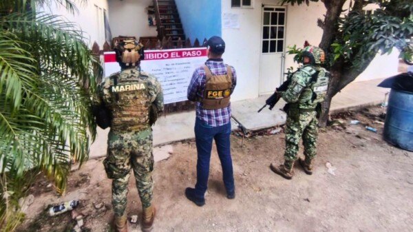 Cateos en Chiquilá y Solferino dejan armas, granadas y un invernadero con plantas de marihuana asegurados