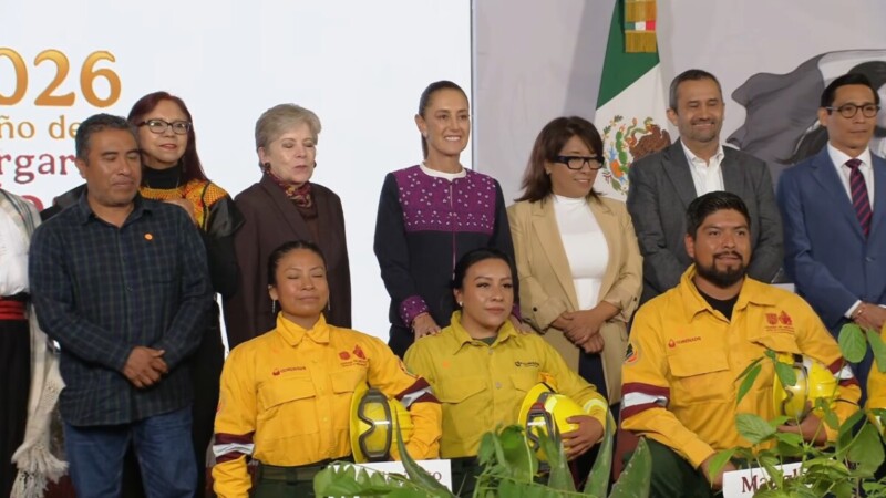 Pondrán en marcha jornada de reforestación, será anual