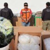Incautan en Tabasco casi dos toneladas de droga oculta entre dulces de coco