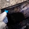 Hallan sin vida a trabajador dentro del drenaje del Mercado de La Merced en la CDMX