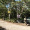 Localizan cuerpo envuelto en sábanas en la carretera Cancún-Leona Vicario