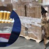 Aseguran más de 2 millones de cigarrillos apócrifos en el AICM