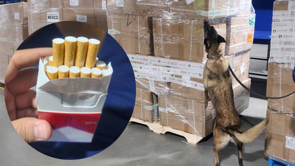 Aseguran más de 2 millones de cigarrillos apócrifos en el AICM