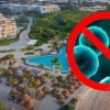 Sin detectar Cyclospora en muestras tomadas por la Cofepris en 16 hoteles de la Riviera Maya