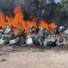 Destruyen más de 184 kilos de narcóticos y 806 objetos asegurados en Quintana Roo