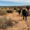 Cae “negocio” de “polleros”, ante la disminución de migrantes