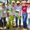 Gobierno de Isla Mujeres se suma a la Jornada Nacional de Reforestación 2026