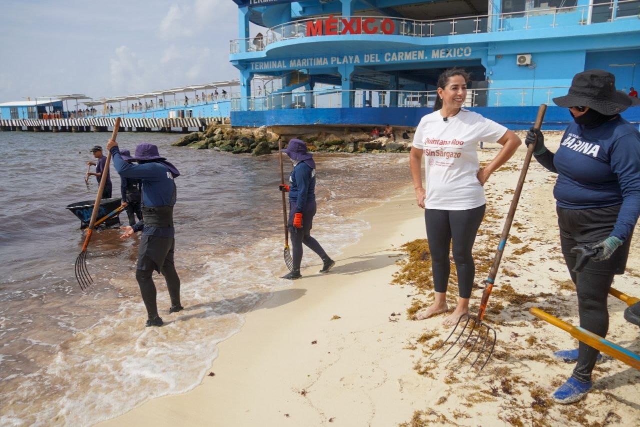 La batalla contra el sargazo también se gana recuperando nuestras playas, afirma Marybel Villegas. La diputada federal con licencia participó en una jornada de limpieza de arenales en Playa del Carmen y destacó que proteger las playas significa defender el turismo, el empleo, el medio ambiente y el bienestar de las familias quintanarroenses.