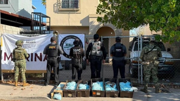 Aseguran 120 kilos de pastillas de fentanilo durante cateo en Mexicali