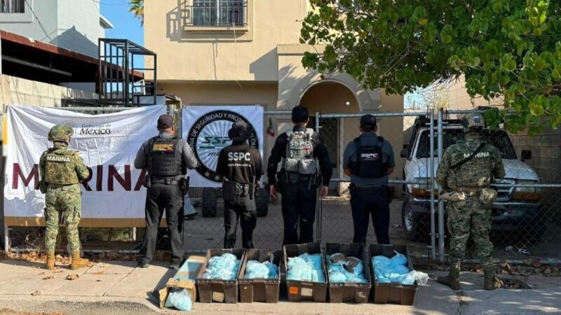 Aseguran 120 kilos de pastillas de fentanilo durante cateo en Mexicali