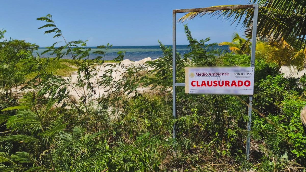Clausuran predio en Yobaín, Yucatán, tras afectación de más de 669 metros cuadrados de duna costera