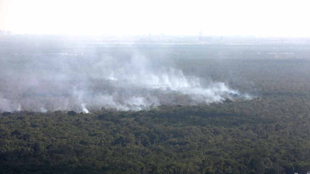 Continúan acciones coordinadas para mitigar efectos del humo por incendio forestal