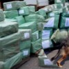 Aseguran más de 11 mil pares de tenis presuntamente falsificados en Manzanillo