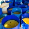 Operativo federal ubica y destruye tres laboratorios de drogas sintéticas en Sinaloa