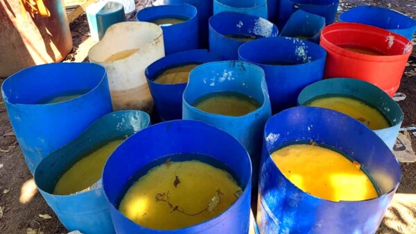 Operativo federal ubica y destruye tres laboratorios de drogas sintéticas en Sinaloa