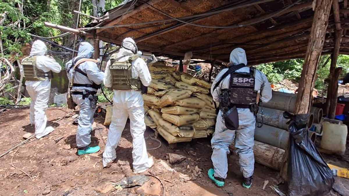 Aseguran más de 10 toneladas de químicos y destruyen laboratorios clandestinos en Michoacán y Guerrero