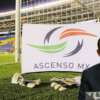 Ponen lupa sobre el ascenso y descenso en el futbol mexicano