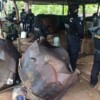 Localizan y desmantelan tres laboratorios clandestinos de metanfetamina en Guerrero