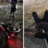 Accidente de motocicleta moviliza a policías tras hallazgo de un arma en la Región 201 de Cancún