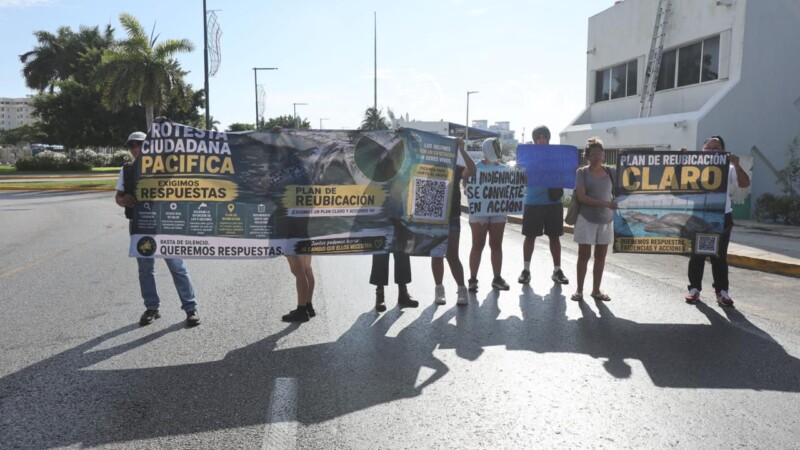 Protestan activistas en la Zona Hotelera de Cancún por delfines en cautiverio