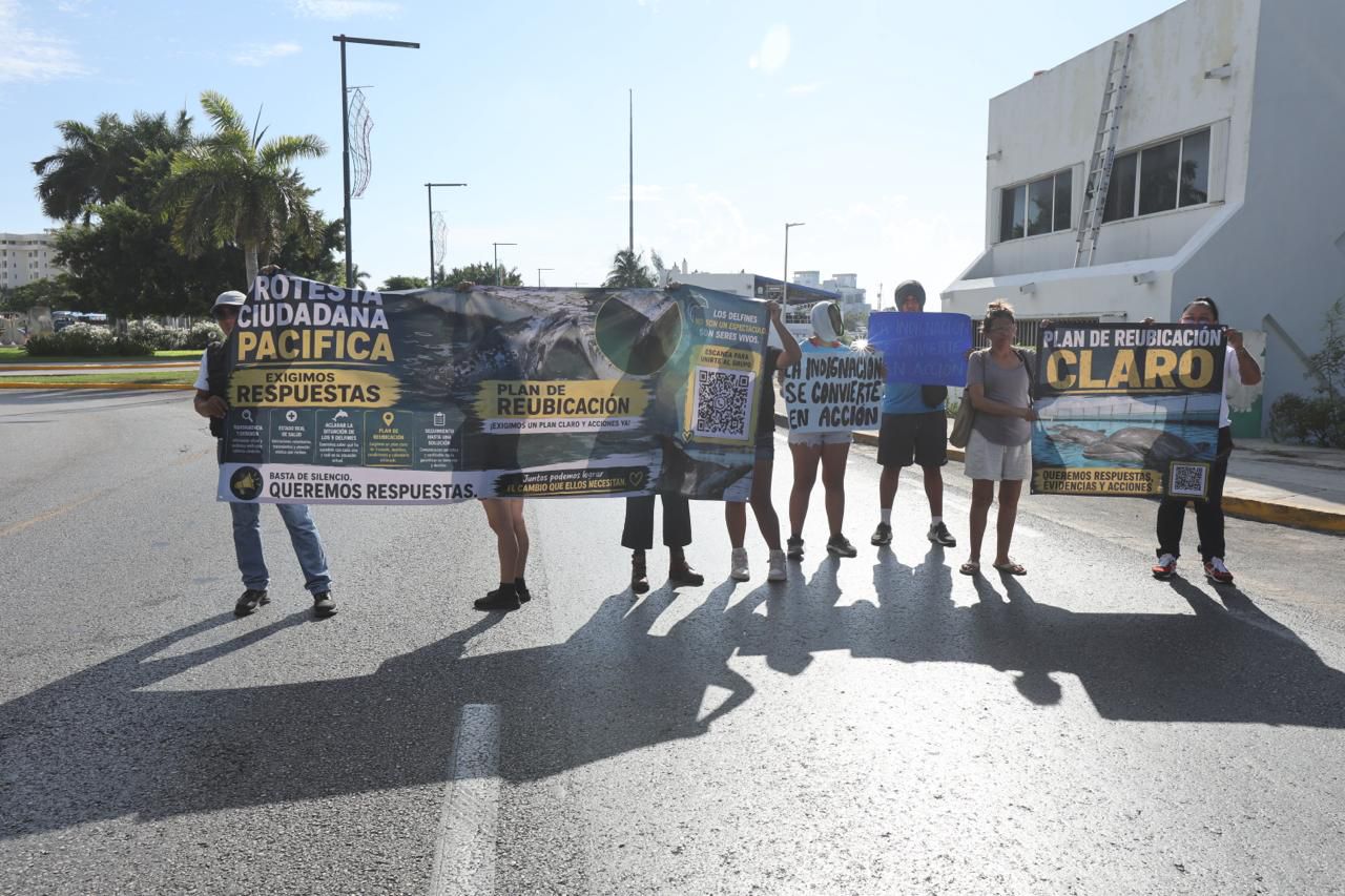 Protestan activistas en la Zona Hotelera de Cancún por delfines en cautiverio