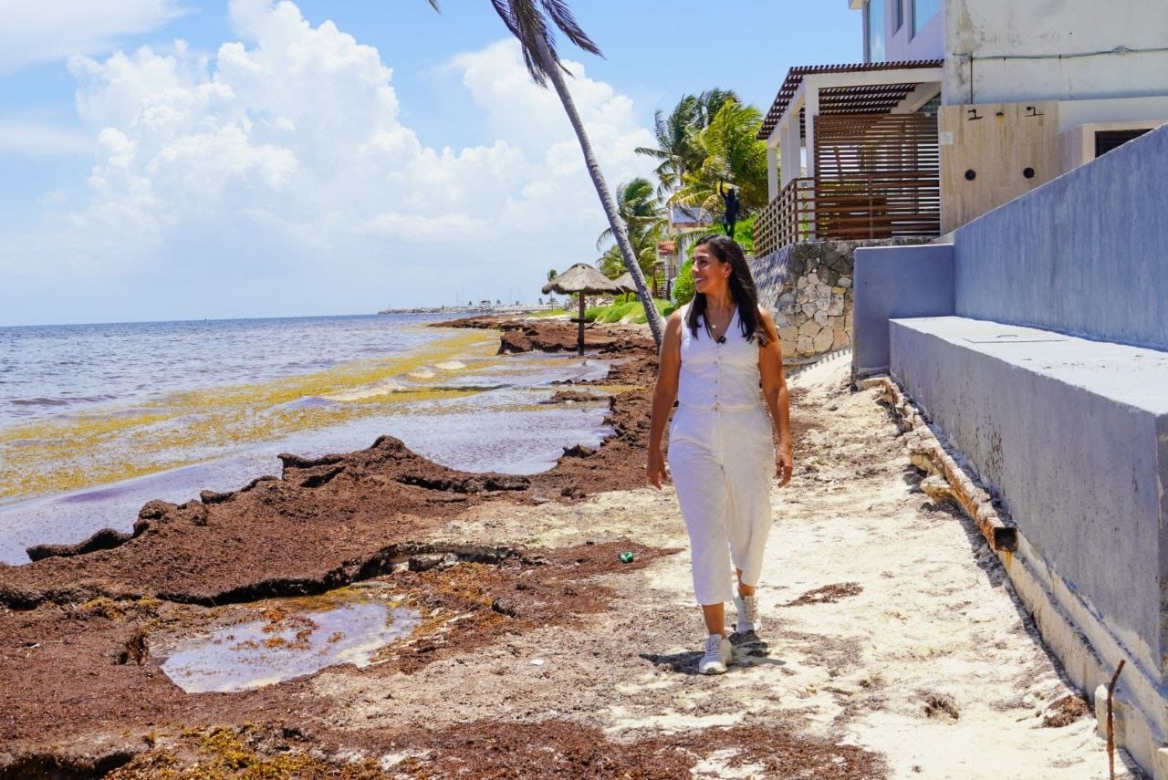 Marybel Villegas destaca respaldo presupuestal de 1,866.9 mdp para combatir el sargazo en Quintana Roo. La diputada federal con licencia afirma que la asignación incluida en el Proyecto de Presupuesto de Egresos de la Federación 2027 confirma que el compromiso de la presidenta Claudia Sheinbaum comienza a traducirse en recursos concretos para proteger las costas, el turismo y la economía del estado.